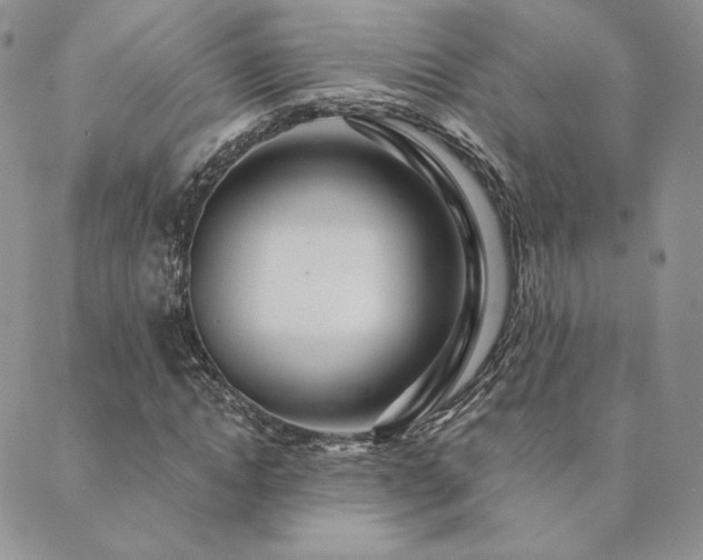 X0000089880822200706281347