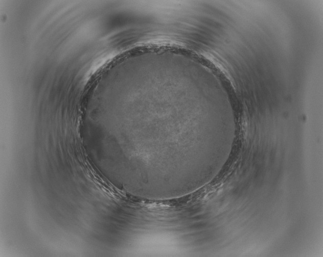 X0000089880823200706281347