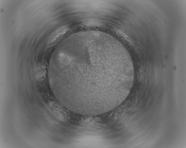 X0000089880824200706281347