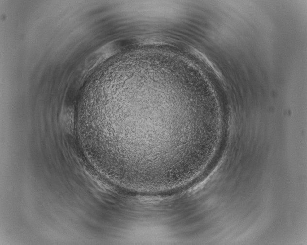 X0000089880825200706281347