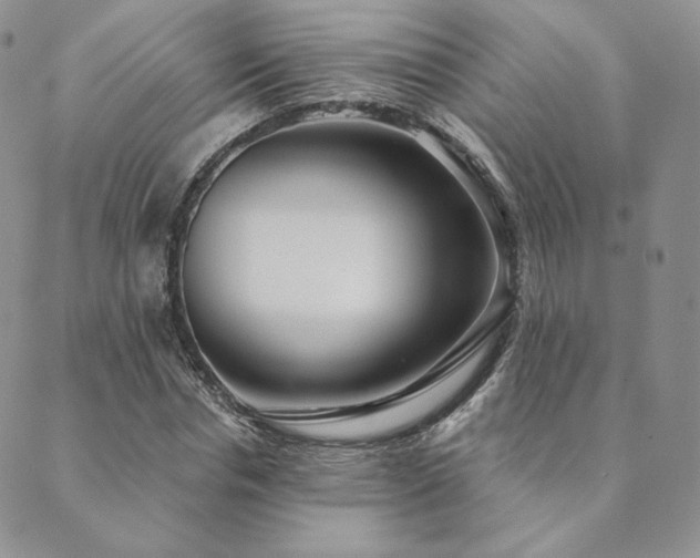 X0000089880826200706281347