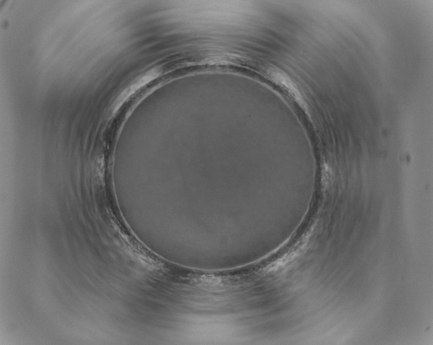 X0000089880827200706281347