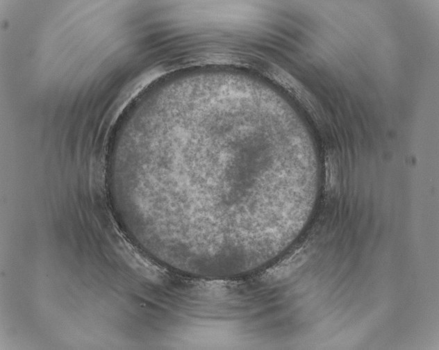 X0000089880828200706281347