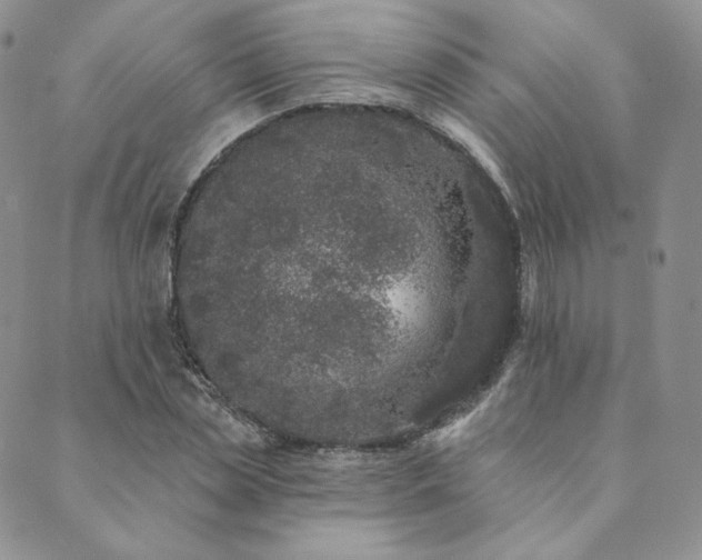 X0000089880829200706281347