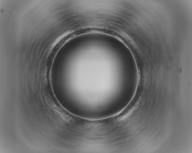 X0000089880830200706281347