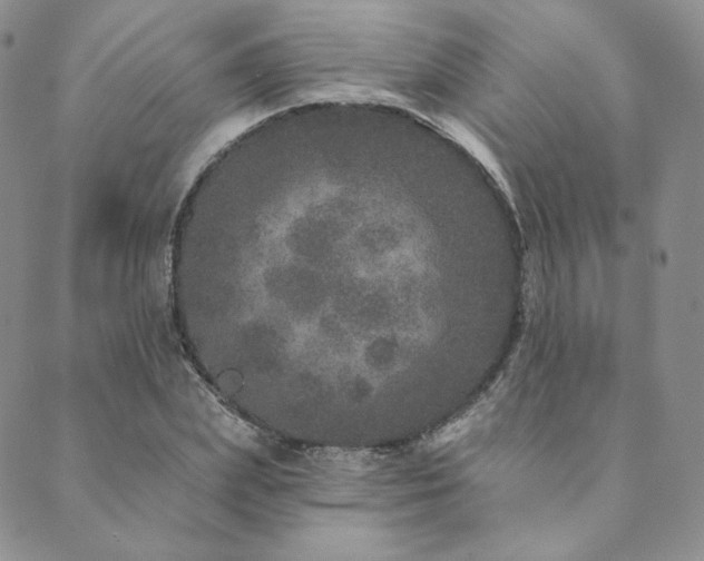 X0000089880831200706281347