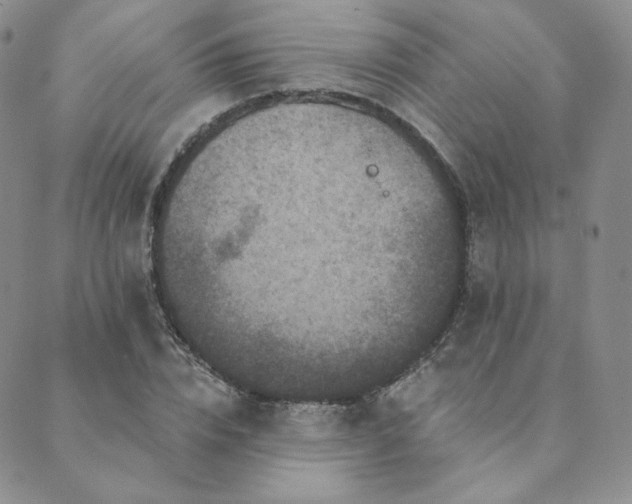 X0000089880832200706281347