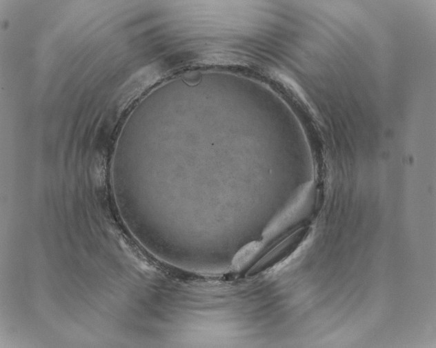 X0000089880833200706281347