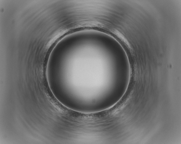 X0000089880834200706281347