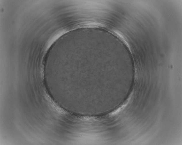 X0000089880835200706281347