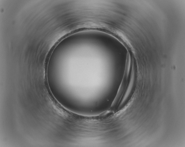 X0000089880837200706281347