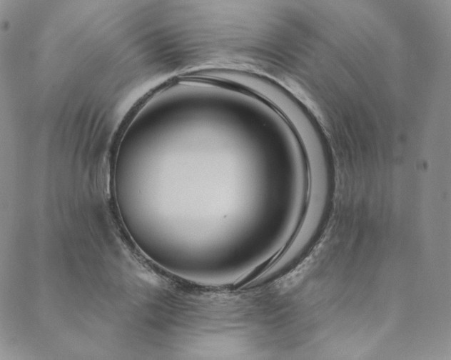 X0000089880838200706281347