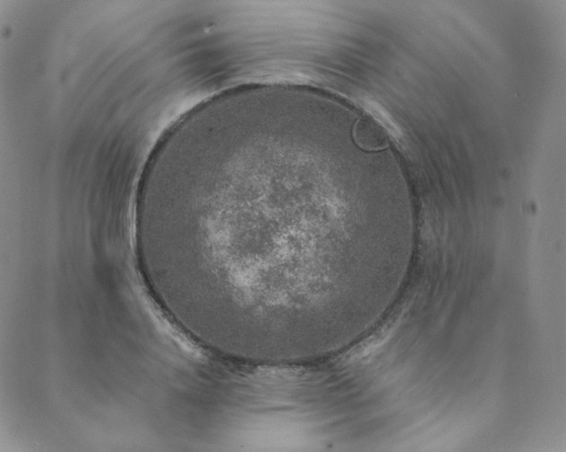 X0000089880840200706281348