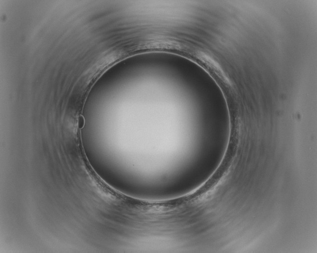 X0000089880841200706281348