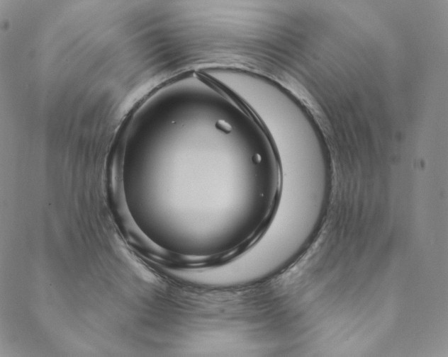 X0000089880842200706281348