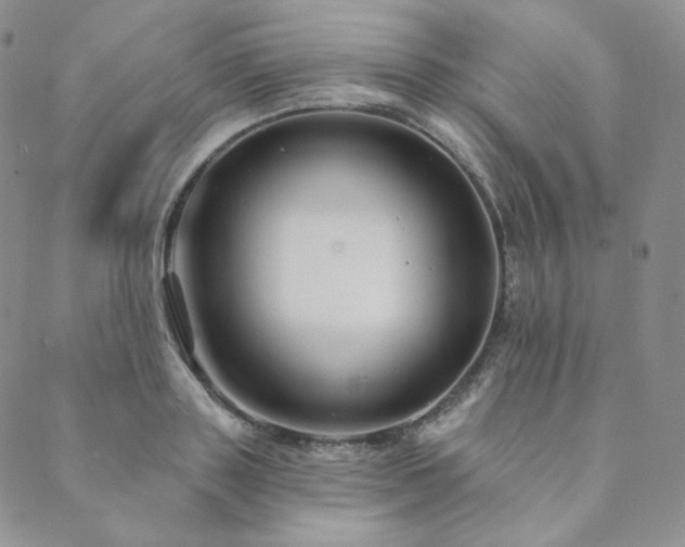 X0000089880843200706281348