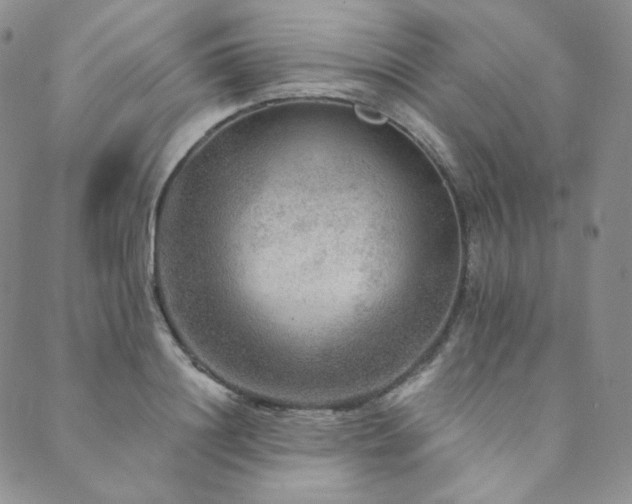 X0000089880844200706281348