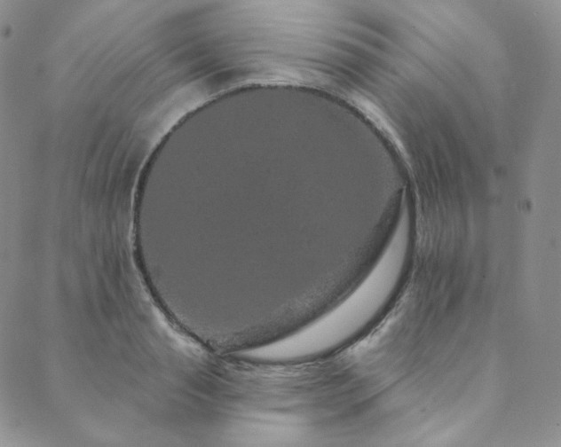 X0000089880845200706281348