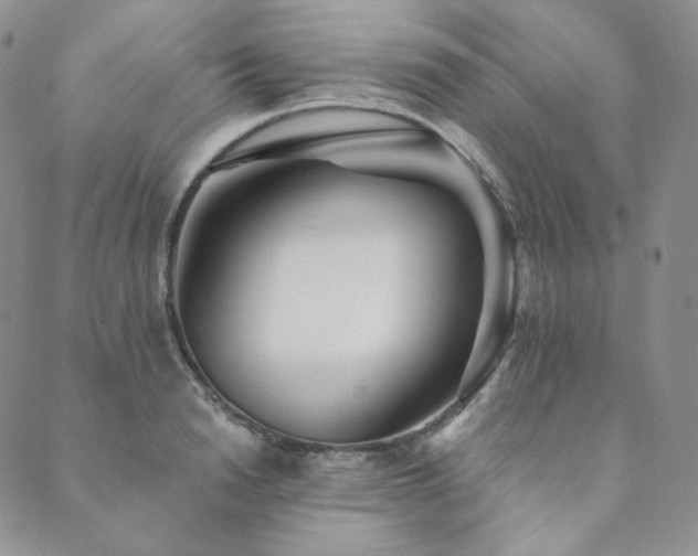 X0000089880846200706281348