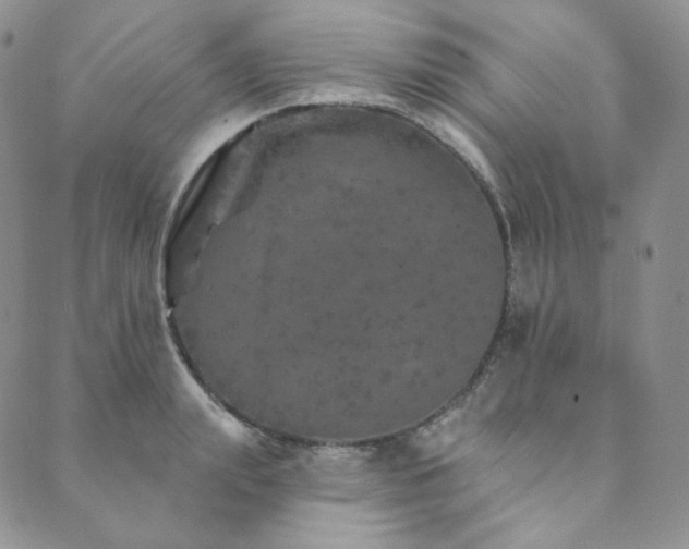 X0000089880847200706281348