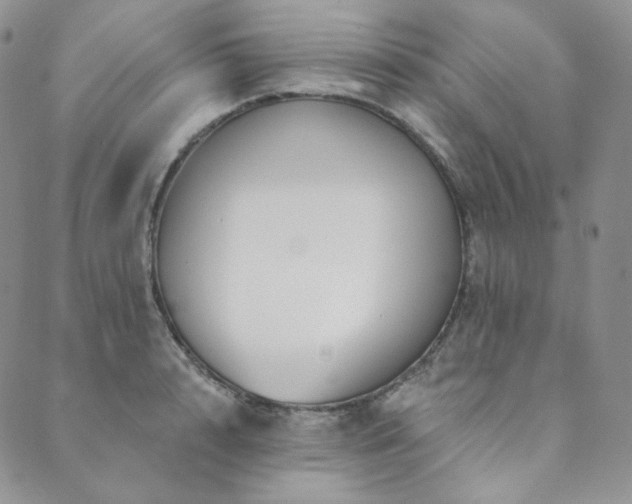 X0000089880848200706281348