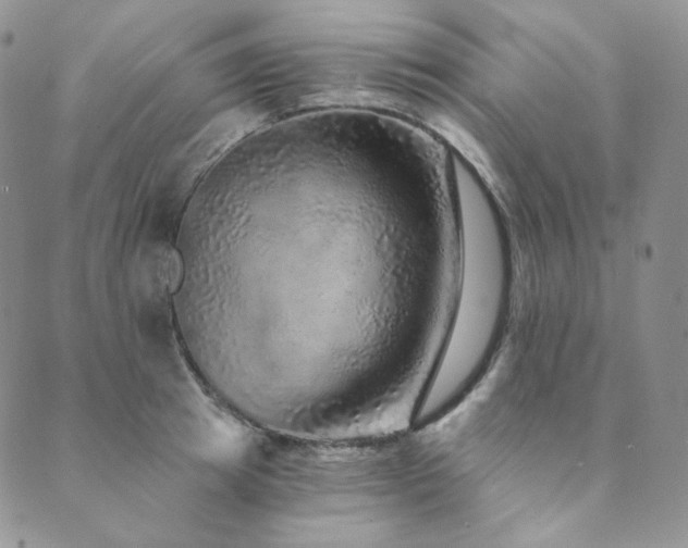 X0000089880849200706281348