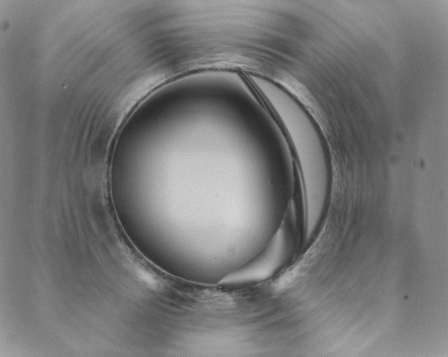 X0000089880850200706281348