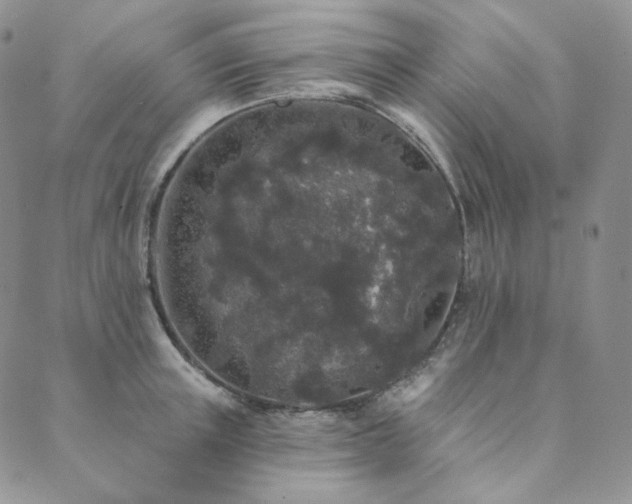 X0000089880851200706281348