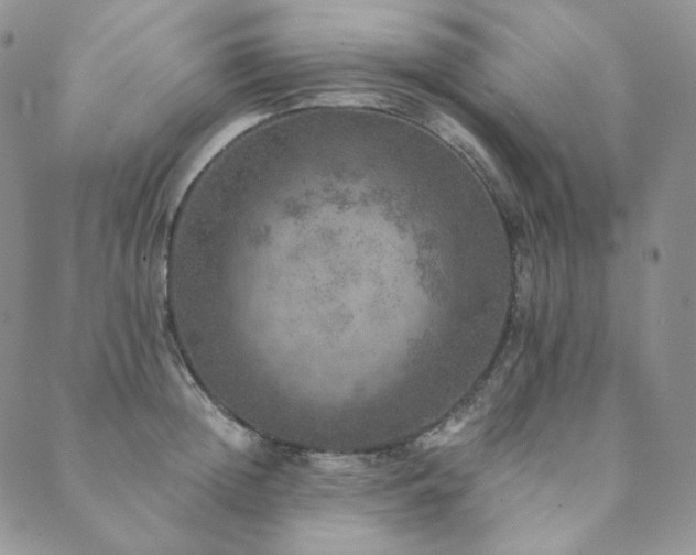 X0000089880852200706281348