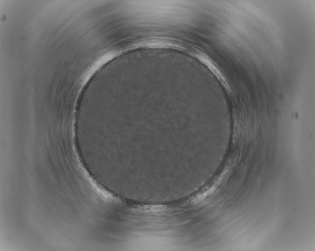 X0000089880853200706281348