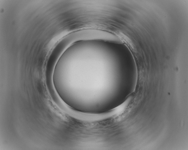 X0000089880854200706281348