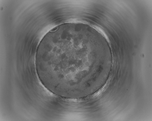 X0000089880855200706281348