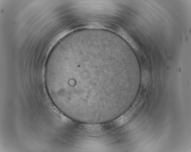 X0000089880856200706281348