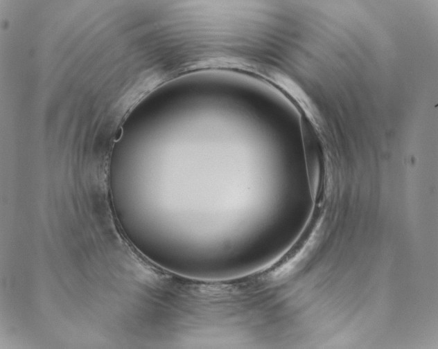 X0000089880857200706281348