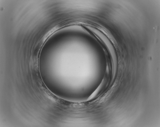 X0000089880858200706281348