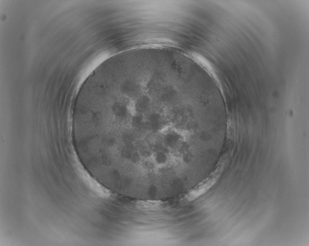 X0000089880859200706281348