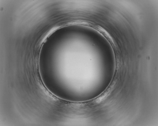 X0000089880860200706281348