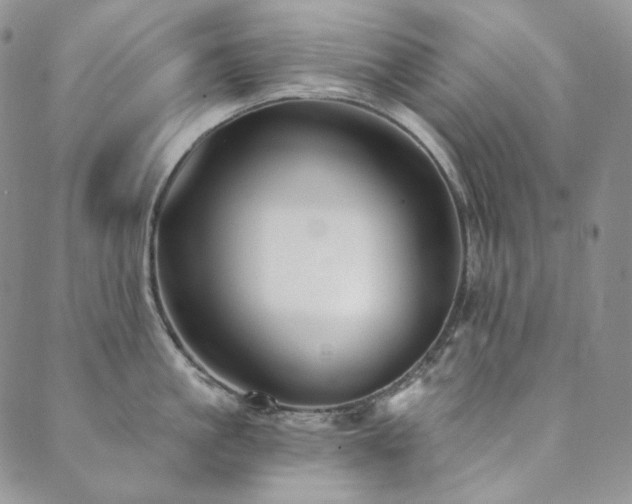 X0000089880861200706281348