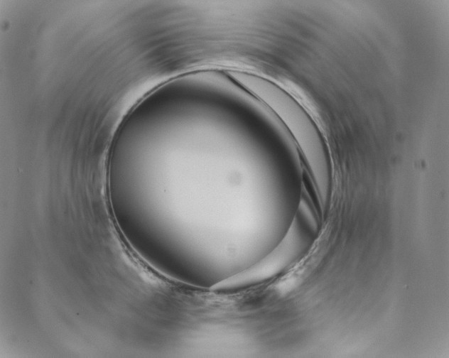 X0000089880862200706281348