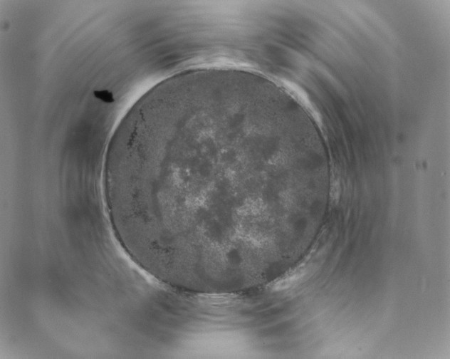 X0000089880863200706281348