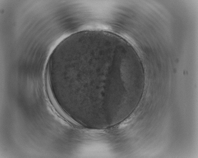 X0000089880864200706281348