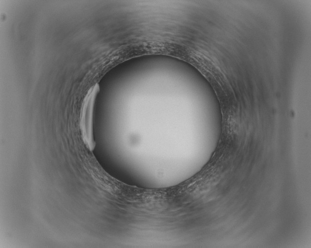 X0000089880865200706281347