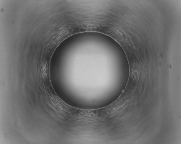 X0000089880866200706281347