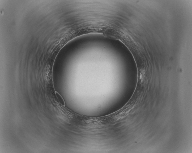 X0000089880867200706281347