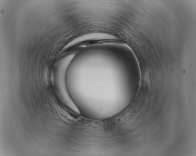 X0000089880868200706281347