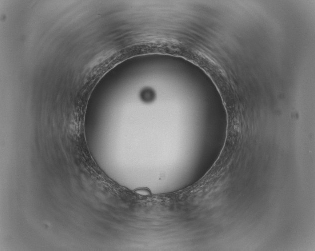 X0000089880869200706281347