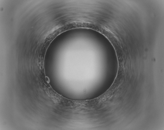 X0000089880870200706281347