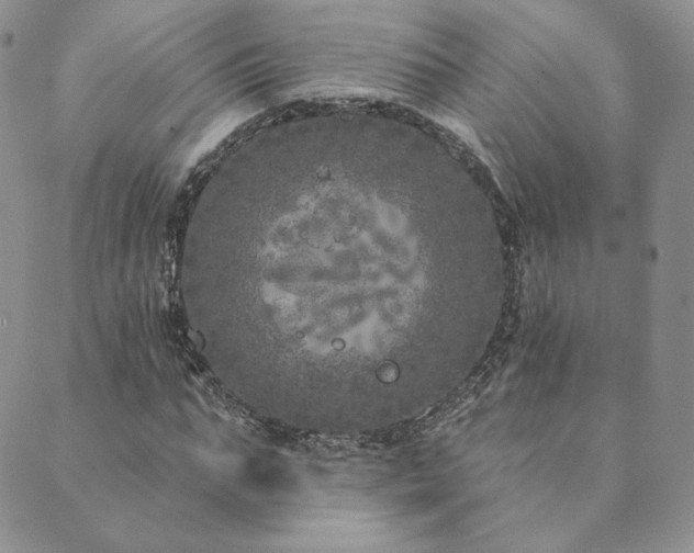 X0000089880871200706281347