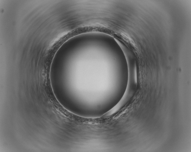 X0000089880872200706281347