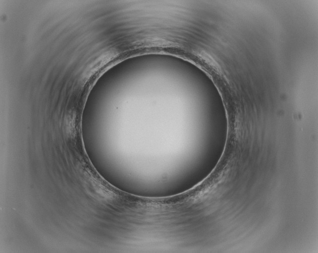 X0000089880873200706281347